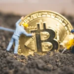 How Governments Are Using Bitcoin to Transform National Economies